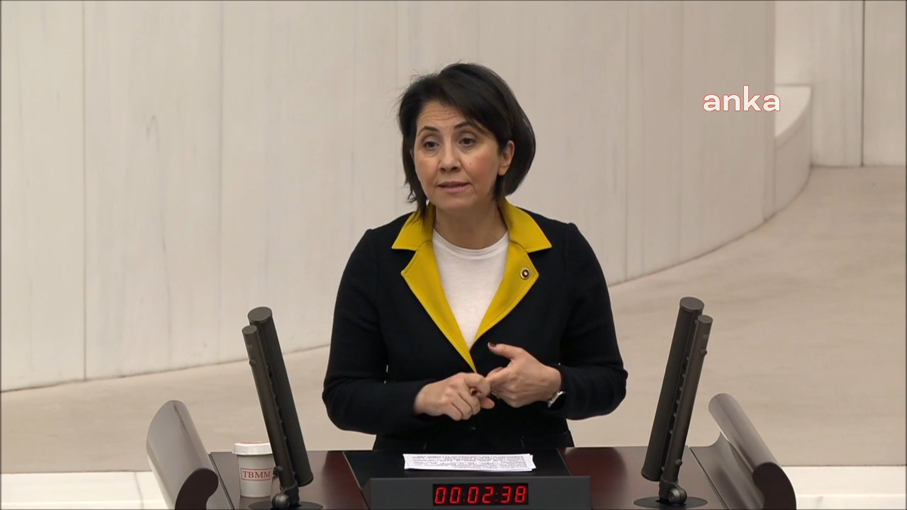 CHP'li Dr. Aylin Yaman: “Engelli ve Yaşlı Bireylerin Hak Kaybı Önlenmeli”